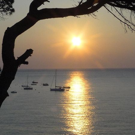 Hotel La Torre Calella De Palafrugell Buitenkant foto
